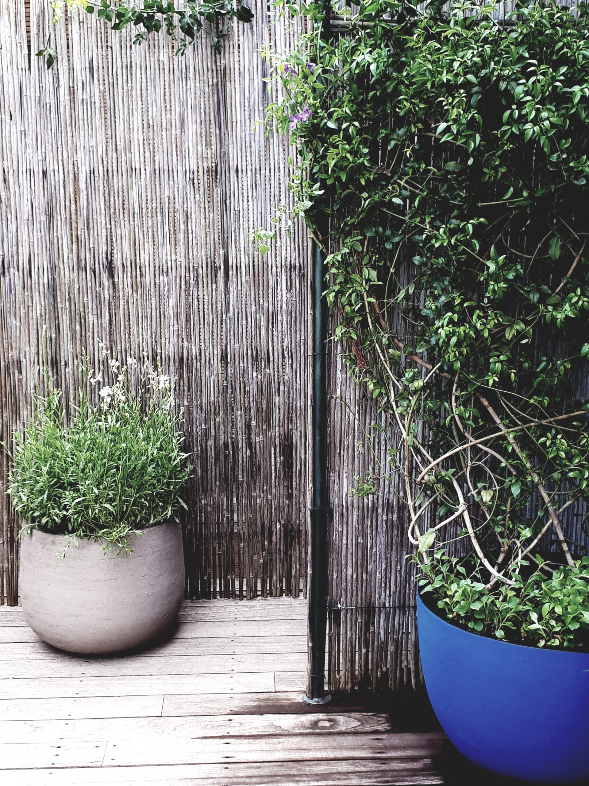 Arredamento Verde FloFiori.com